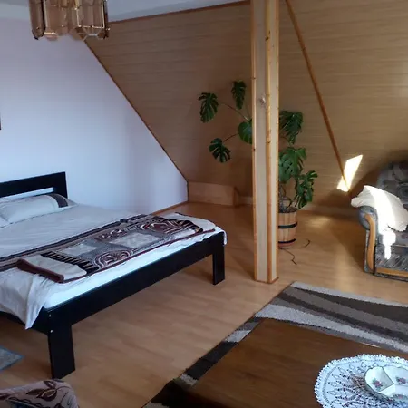 Nad Stawem Homestay