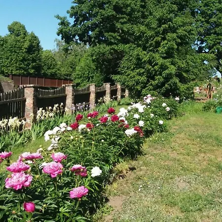 Nad Stawem Homestay