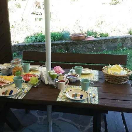 Nad Stawem Homestay